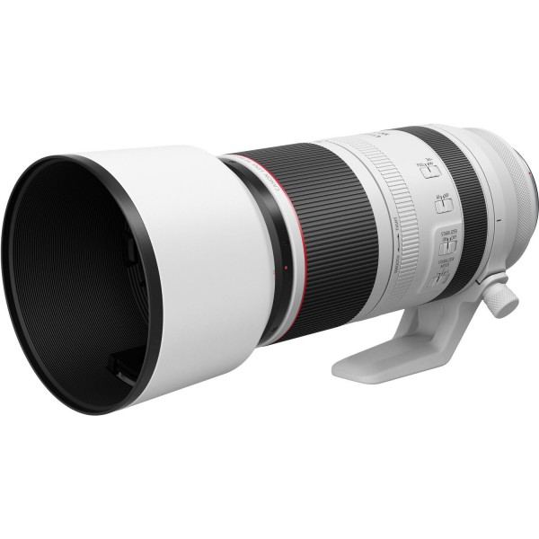 Objectif Canon RF 100-500mm F4.5-7.1L IS USM-3