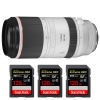 Canon RF 100-500mm f/4.5-7.1L IS USM + 3 SanDisk 128GB Extreme PRO UHS-II SDXC 300 MB/s|MCZ DIRECT