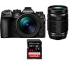 OM SYSTEM OM-1 + ED 12-40mm f/2.8 PRO II + ED 40-150mm f/4 PRO + 1 SanDisk 64GB Extreme PRO UHS-II SDXC 300 MB/s-1
