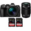 SISTEMA OM OM-1 + ED 12-40 mm f/2,8 PRO II + ED 40-150 mm f/4 PRO + 2 SanDisk Extreme PRO UHS-II SDXC de 64 GB a 300 MB/seg.