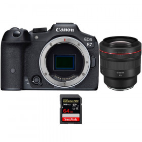 Canon EOS R7 + RF 85mm F1.2 L USM + 1 SanDisk 64GB Extreme PRO UHS-II SDXC 300 MB/s - Mirrorless APS-C camera-1