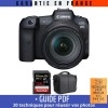 Canon EOS R5 + RF 24-105mm f/4L IS USM + SanDisk 128GB Extreme PRO UHS-II SDXC 300 MB/s + Bag|MCZ DIRECT