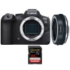 Canon EOS R6 Mark II + Canon EF-EOS R Premium + 1 SanDisk 128GB Extreme PRO UHS-II SDXC 300 MB/s - Appareil Photo Hybride|MCZ DIRECT