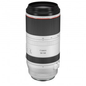 Canon EOS R3 + RF 100-500mm f/4.5-7.1 L IS USM - Vista principal
