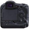 Canon EOS R3 + RF 100-400mm f/5.6-8 IS USM-5