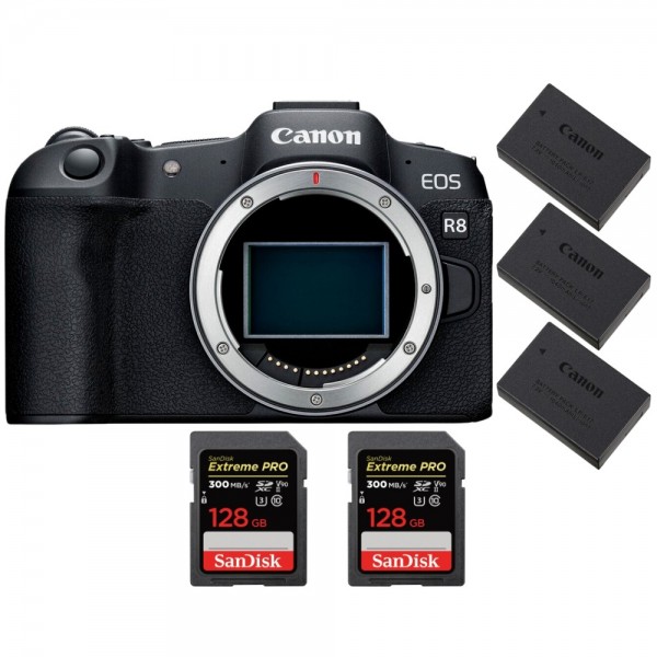 Carte mémoire SanDisk 256GB pour Canon EOS 800D