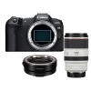 Canon EOS R8 + RF 70-200mm f2.8 L IS USM + EF-EOS R|MCZ DIRECT