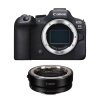 Canon EOS R6 Mark II + EF-EOS R - Appareil Photo Hybride|MCZ DIRECT