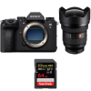 Sony A9 III + FE 12-24mm f/2.8 GM + 1 SanDisk 64GB Extreme PRO UHS-II SDXC 300 MB/s|MCZ DIRECT
