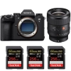 Sony A9 III + FE 24mm f/1.4 GM + 3 SanDisk 256GB Extreme PRO UHS-II SDXC 300 MB/s|MCZ DIRECT