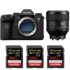 Sony A9 III + FE 85mm f/1.4 GM + 3 SanDisk 256GB Extreme PRO UHS-II SDXC 300 MB/s|MCZ DIRECT