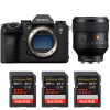 Sony A9 III + FE 85mm f/1.4 GM + 3 SanDisk 512GB Extreme PRO UHS-II SDXC 300 MB/s-1