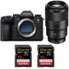 Sony A9 III + FE 90mm f/2.8 Macro G OSS + 2 SanDisk 32GB Extreme PRO UHS-II SDXC 300 MB/s-1