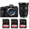 Sony A9 III + FE 24-70mm f/2.8 GM II + 3 SanDisk 256GB Extreme PRO UHS-II SDXC 300 MB/s|MCZ DIRECT