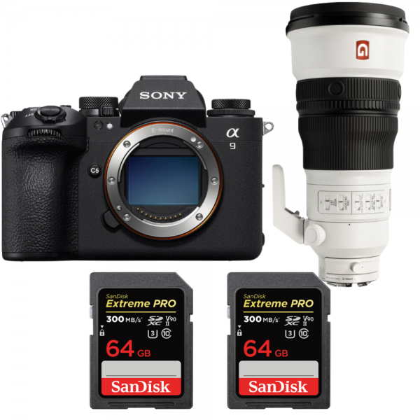 Sony A9 III + FE 300mm f/2.8 GM OSS + 2 SanDisk 64GB Extreme PRO UHS-II SDXC 300 MB/s-1