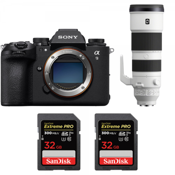 Sony A9 III + FE 200-600mm f/5.6-6.3 G OSS + 2 SanDisk 32GB Extreme PRO UHS-II SDXC 300 MB/s-1