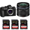 OM System OM-1 Mark II + ED 9-18mm f/4-5.6 II + 3 SanDisk 128GB Extreme PRO UHS-II SDXC 300 MB/s|MCZ DIRECT