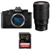 Nikon Zf + 50mm f/1.2 S + 1 SanDisk 32GB Extreme PRO UHS-II SDXC 300 MB/s|MCZ DIRECT