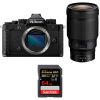 Nikon Zf + 50mm f/1.2 S + 1 SanDisk 64GB Extreme PRO UHS-II SDXC 300 MB/s-1
