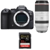 Canon EOS R6 Mark II + RF 100-500mm f/4.5-7.1 L IS USM + 1 SanDisk 32GB Extreme PRO UHS-II SDXC 300 MB/s|MCZ DIRECT