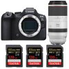 Canon EOS R6 Mark II + RF 100-500 mm f/4,5-7,1 L IS USM + 3 SanDisk Extreme PRO UHS-II SDXC de 128 GB a 300 MB/s -1