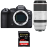 Canon EOS R6 Mark II + RF 100-500mm f/4.5-7.1 L IS USM + 1 SanDisk 256GB Extreme PRO UHS-II SDXC 300 MB/s|MCZ DIRECT