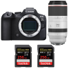 Canon EOS R6 Mark II + RF 100-500 mm f/4,5-7,1 L IS USM + 2 SanDisk Extreme PRO UHS-II SDXC de 256 GB a 300 MB/s -1