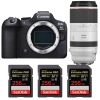 Canon EOS R6 Mark II + RF 100-500mm f/4.5-7.1 L IS USM + 3 SanDisk 256GB Extreme PRO UHS-II SDXC 300 MB/s|MCZ DIRECT