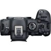 Canon EOS R6 Mark II + RF 10-20mm f/4 L IS STM|MCZ DIRECT