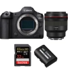 Canon EOS R5 Mark II + RF 85mm f/1.2 L USM + 1 SanDisk 32GB Extreme PRO UHS-II SDXC 300 MB/s + 1 Canon LP-E6P|MCZ DIRECT