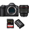 Canon EOS R5 Mark II + RF 85mm f/1.2 L USM + 1 SanDisk 64GB Extreme PRO UHS-II SDXC 300 MB/s + 1 Canon LP-E6P|MCZ DIRECT
