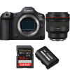 Canon EOS R5 Mark II + RF 85mm f/1.2 L USM + 1 SanDisk 512GB Extreme PRO UHS-II SDXC 300 MB/s + 1 Ca