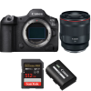 Canon EOS R5 Mark II + RF 50mm f/1.2 L USM + 1 SanDisk 512GB Extreme PRO UHS-II SDXC 300 MB/s + 1 Ca