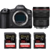 Canon EOS R5 Mark II + RF 14-35mm f/4 L IS USM + 3 SanDisk 128GB Extreme PRO UHS-II SDXC 300 MB/s|MCZ DIRECT