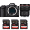 Canon EOS R5 Mark II + RF 14-35mm f/4 L IS USM + 3 SanDisk 512GB Extreme PRO UHS-II SDXC 300 MB/s|MCZ DIRECT