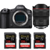 Canon EOS R5 Mark II + RF 10-20mm f/4 L IS STM + 3 SanDisk 128GB Extreme PRO UHS-II SDXC 300 MB/s