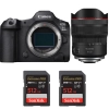 Canon EOS R5 Mark II + RF 10-20mm f/4 L IS STM + 2 SanDisk 512GB Extreme PRO UHS-II SDXC 300 MB/s|MCZ DIRECT