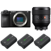 Sony A6700 + FE 85mm f/1.4 GM + 3 Sony NP-FZ100|MCZ DIRECT