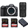 Canon EOS R6 Mark II + RF 100-400mm f/5.6-8 IS USM + 2 SanDisk 256GB Extreme PRO UHS-II SDXC 300 MB/s + 1 Canon LP-E6NH|MCZ DIRECT