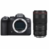 Canon EOS R6 Mark II + RF 100mm f/2.8 L Macro IS USM|MCZ DIRECT