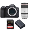 Canon EOS R6 Mark II + RF 100-500mm f/4.5-7.1 L IS USM + 1 SanDisk 256GB Extreme PRO UHS-II SDXC 300 MB/s + 1 Canon LP-E6NH|MCZ DIRECT