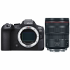 Canon EOS R6 Mark II + RF 24-105mm f/4 L IS USM-1