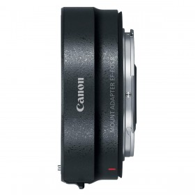 Canon EOS R6 Mark II + RF 24-105mm f/4-7.1 IS STM + EF-EOS R-7 Canon EOS R6 Mark II + RF 24-105mm f/4-7.1 IS STM + EF-EOS R-7