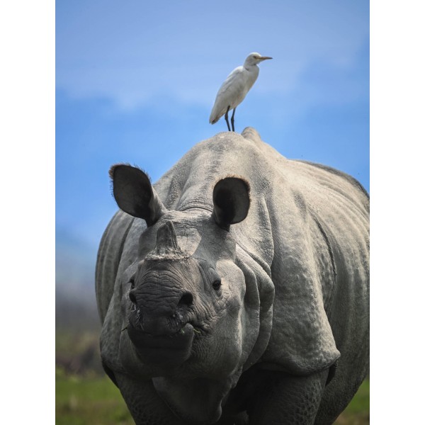 Nikon Z6 III - Appareil Photo Hybride Plein Format-5