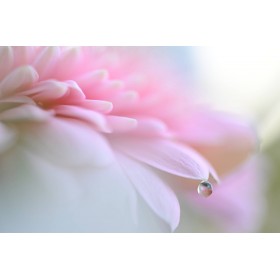 Nikon Z6 III - Appareil Photo Hybride Plein Format-13 Nikon Z6 III - Appareil Photo Hybride Plein Format-13
