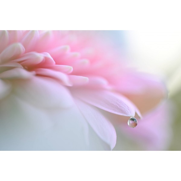 Nikon Z6 III - Appareil Photo Hybride Plein Format-13