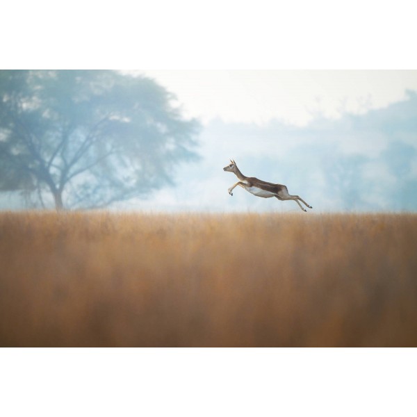 Nikon Z6 III Cámara mirrorless-23