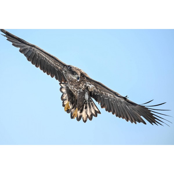 Nikon Z6 III - Appareil Photo Hybride Plein Format-25