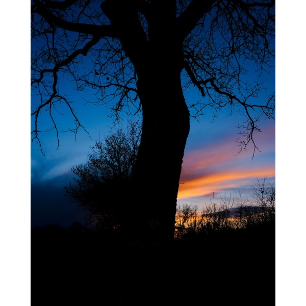 Fujifilm X-T50 Cuerpo Negro-11