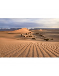 Desert landscape with gentle sand dunes under a soft sky, captured with Canon RF 16-28mm f/2.8 IS STM Desert landscape with gentle sand dunes under a soft sky, captured with Canon RF 16-28mm f/2.8 IS STM